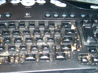 Illustration for article titled The Most Disgusting and Gross Tech Gear Gallery Ever